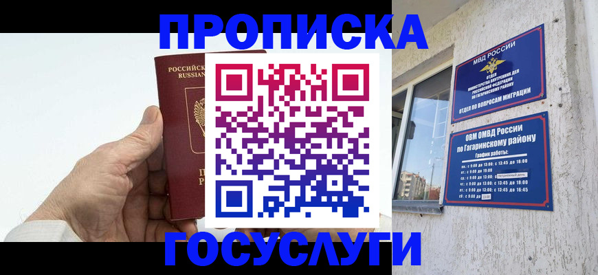 временная регистрация надежно в Курской области