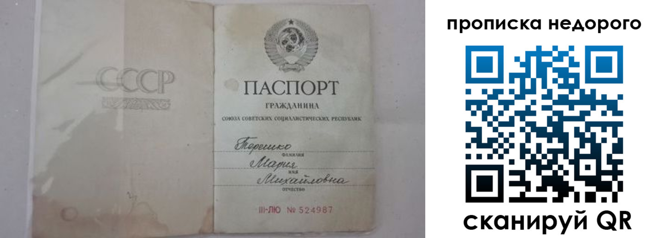где прописаться в Курской области